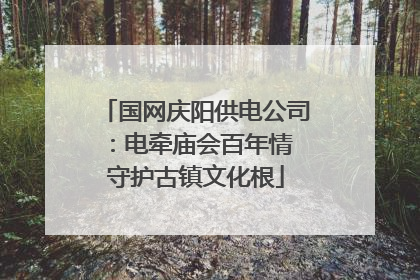 国网庆阳供电公司：电牵庙会百年情 守护古镇文化根