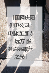 国网庆阳供电公司：电脉连通诗与远方 服务点亮露营之光