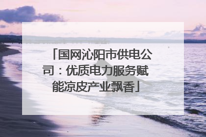 国网沁阳市供电公司：优质电力服务赋能凉皮产业飘香