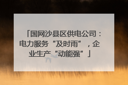 国网沙县区供电公司：电力服务“及时雨”，企业生产“动能强”