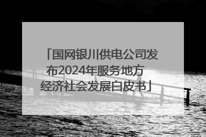国网银川供电公司发布2024年服务地方经济社会发展白皮书