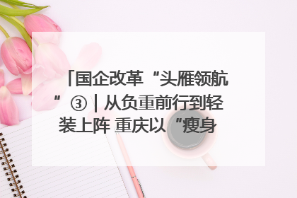 国企改革“头雁领航”③｜从负重前行到轻装上阵 重庆以“瘦身”谋“健体”