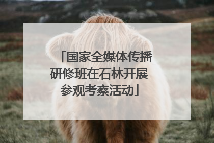 国家全媒体传播研修班在石林开展参观考察活动
