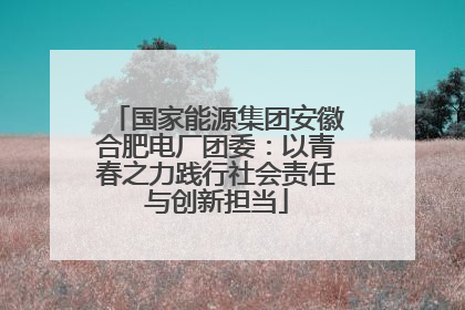 国家能源集团安徽合肥电厂团委：以青春之力践行社会责任与创新担当