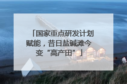 国家重点研发计划赋能，昔日盐碱滩今变“高产田”