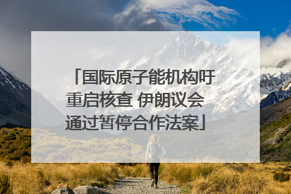 国际原子能机构吁重启核查 伊朗议会通过暂停合作法案