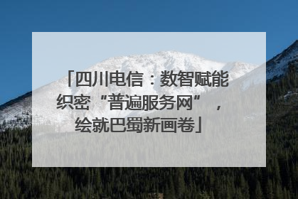 四川电信：数智赋能织密“普遍服务网”，绘就巴蜀新画卷