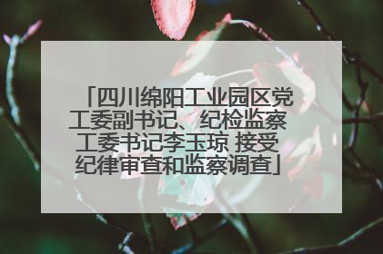 四川绵阳工业园区党工委副书记、纪检监察工委书记李玉琼 接受纪律审查和监察调查