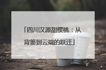 四川汉源甜樱桃：从背篓到云端的跃迁