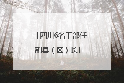 四川6名干部任副县（区）长