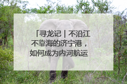 寻龙记｜不沿江不靠海的济宁港，如何成为内河航运的“绝对主力”
