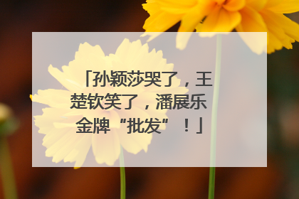 孙颖莎哭了，王楚钦笑了，潘展乐金牌“批发”！