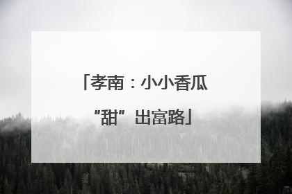 孝南：小小香瓜 “甜”出富路