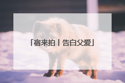 宿来拍丨告白父爱
