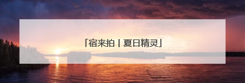 宿来拍丨夏日精灵