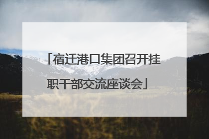 宿迁港口集团召开挂职干部交流座谈会