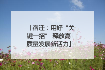 宿迁：用好“关键一招” 释放高质量发展新活力