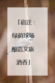 宿迁：绿荫球场酿造文旅酒香