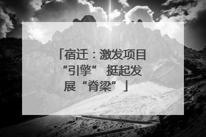 宿迁：激发项目“引擎” 挺起发展“脊梁”