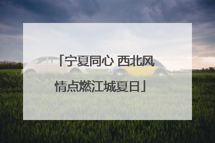 宁夏同心 西北风情点燃江城夏日
