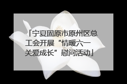 宁夏固原市原州区总工会开展“情暖六一 关爱成长”慰问活动