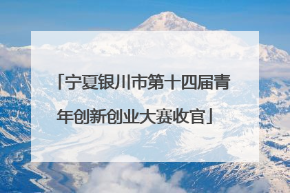 宁夏银川市第十四届青年创新创业大赛收官