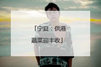 宁夏：供港蔬菜迎丰收