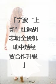 宁波“上新”往返胡志明全货机 助中越经贸合作升级