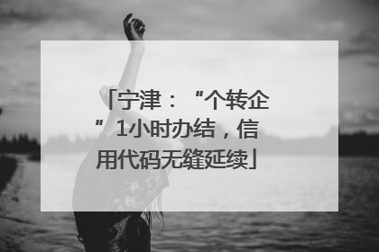 宁津：“个转企”1小时办结，信用代码无缝延续