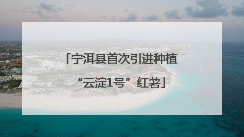 宁洱县首次引进种植“云淀1号”红薯