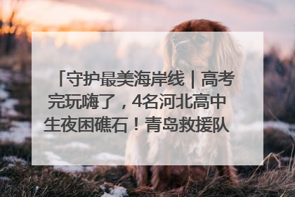 守护最美海岸线｜高考完玩嗨了，4名河北高中生夜困礁石！青岛救援队火速出动救上岸