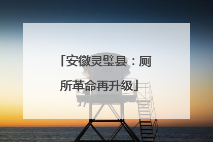 安徽灵璧县：厕所革命再升级