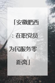 安徽肥西：在职党员为民服务零距离