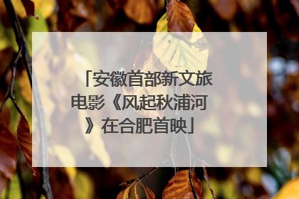 安徽首部新文旅电影《风起秋浦河》在合肥首映
