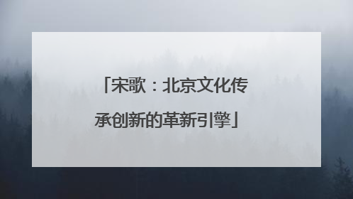 宋歌：北京文化传承创新的革新引擎