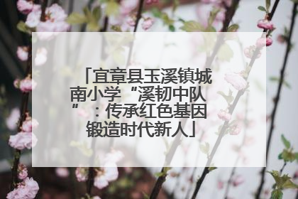 宜章县玉溪镇城南小学“溪韧中队”：传承红色基因 锻造时代新人