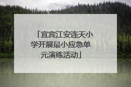 宜宾江安连天小学开展最小应急单元演练活动