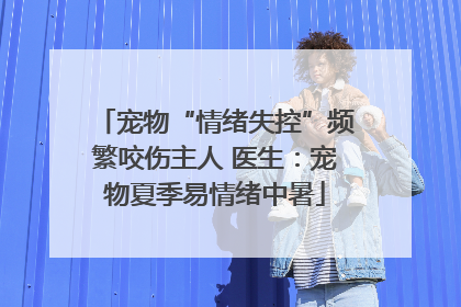 宠物“情绪失控”频繁咬伤主人 医生：宠物夏季易情绪中暑