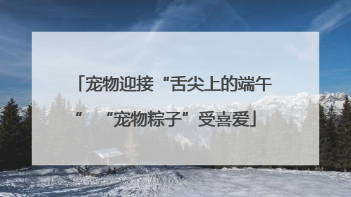 宠物迎接“舌尖上的端午” “宠物粽子”受喜爱