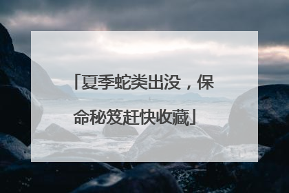 夏季蛇类出没，保命秘笈赶快收藏