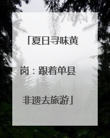 夏日寻味黄岗：跟着单县非遗去旅游