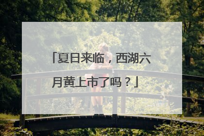 夏日来临，西湖六月黄上市了吗？