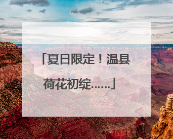 夏日限定！温县荷花初绽……