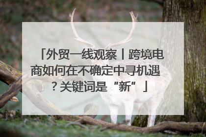 外贸一线观察丨跨境电商如何在不确定中寻机遇？关键词是“新”