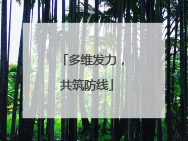 多维发力，共筑防线