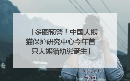 多图预警！中国大熊猫保护研究中心今年首只大熊猫幼崽诞生