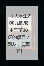 大学生200元的成本干了20亿的项目？网友：羡慕了
