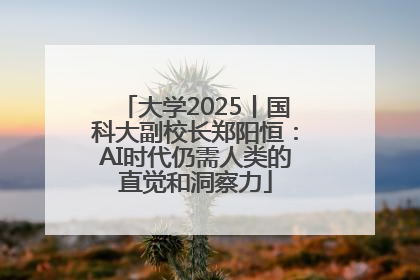 大学2025丨国科大副校长郑阳恒：AI时代仍需人类的直觉和洞察力