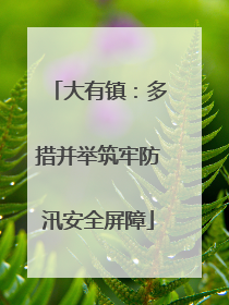 大有镇：多措并举筑牢防汛安全屏障