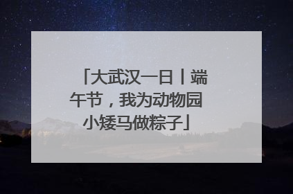 大武汉一日丨端午节，我为动物园小矮马做粽子